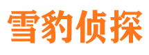 双台子侦探公司